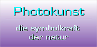 Photokunst